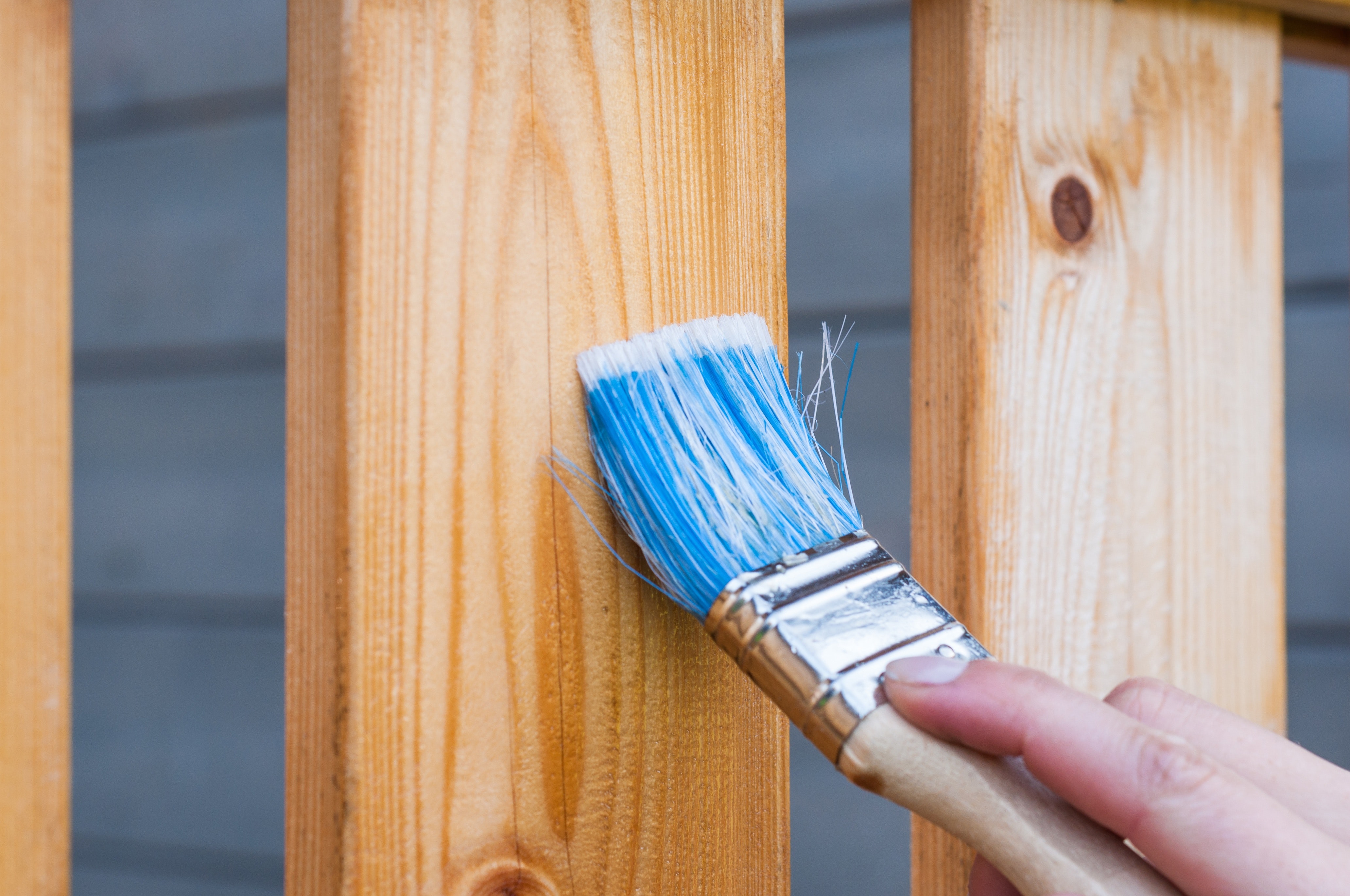 closeup view of paintbrush painting wooden fence or deck
