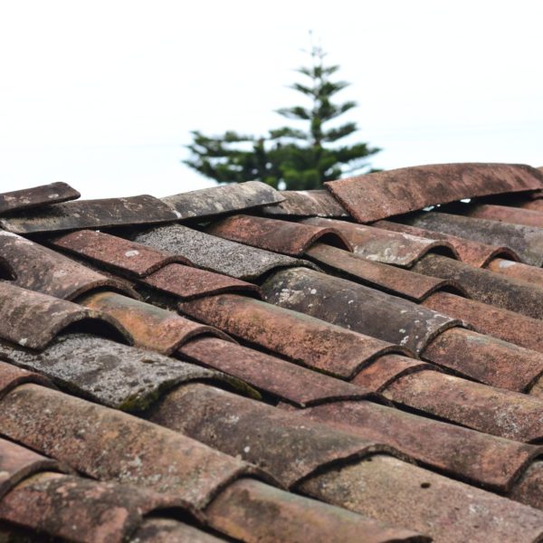 old ceramic shingles in need of replacement due to mold growth