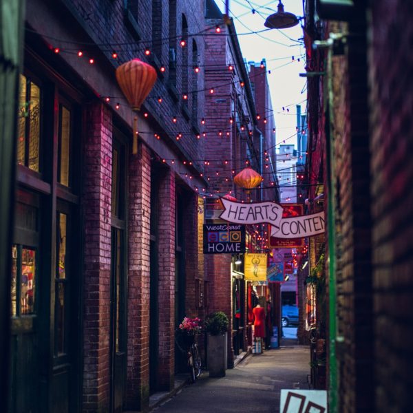 quaint city alley filled with brightly lit shops and overheat twinkle lights