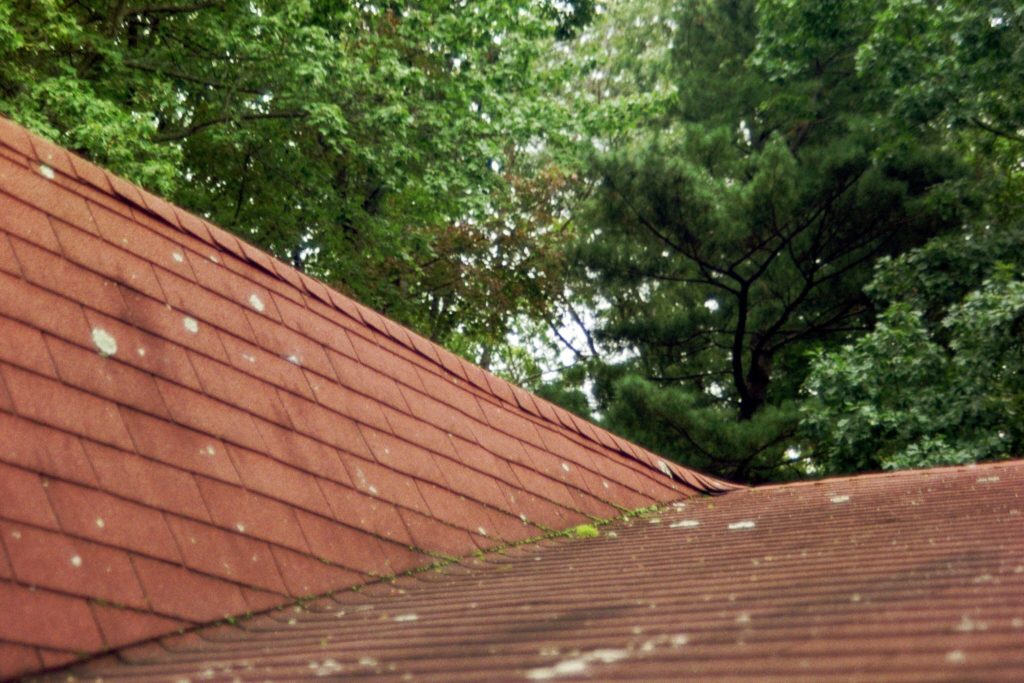 replace my roof