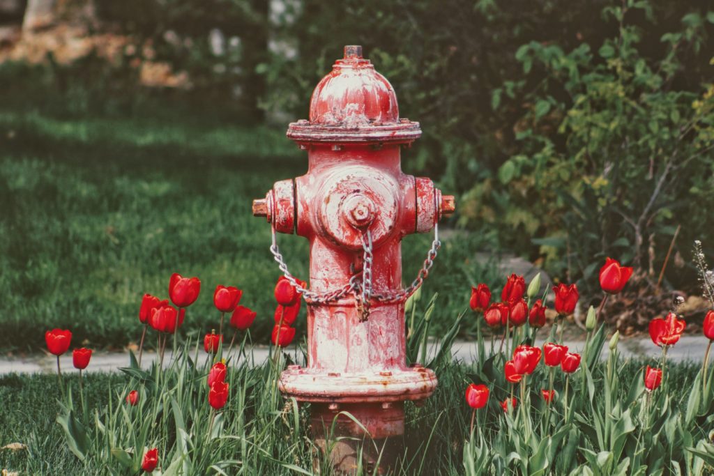 Fire Hydrant in Yard in Nashville, TN