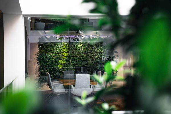 Outdoor lounging space with greenery